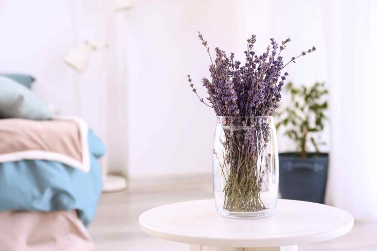 Vaso con lavanda