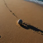 Featured image placeholder 16:9